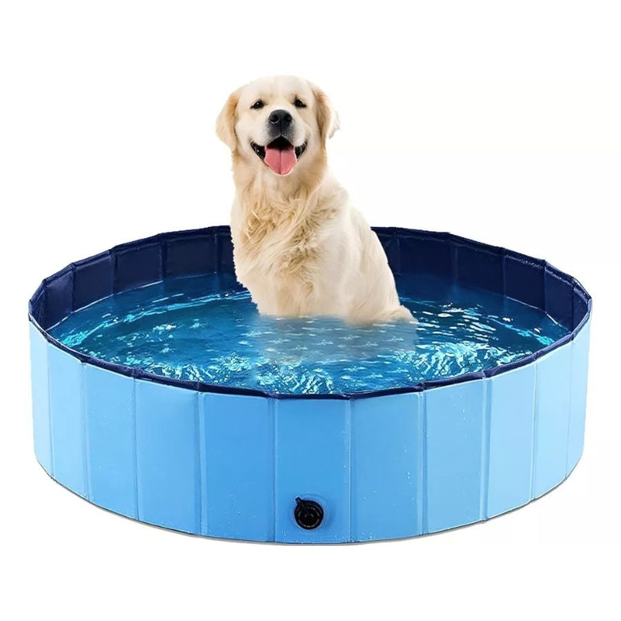 Click Ventas - Piscina Plegable Para Perros Mascotas Piscina Verano 80x20cm
