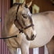 thumbnail image 3 of Figura Breyer Horses Traditional Series Cossaco Lusitano, 3 of 4