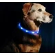 thumbnail image 2 of Collar Led Para Perro Recargable 70 Cms Azul, 2 of 3