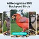 thumbnail image 2 of Comedero Inteligente para Pájaros Birdfy Rookie con Cámara y Visión Nocturna, 2 of 9