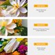 thumbnail image 3 of Perfume Nateea Bahamas Yellow Elder 100 ml, 3 of 8