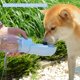 thumbnail image 3 of Botella de Agua Plegable con Filtro de Carbón Activado para Perro AVELORA, 3 of 7