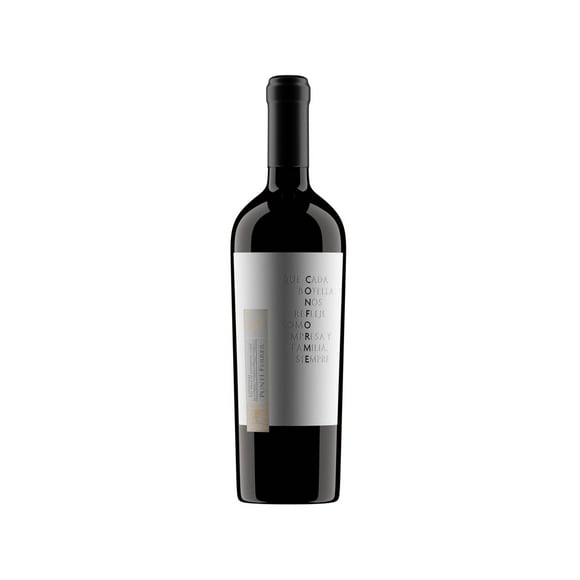 Vino Puntí Ferrer Conforme Carmenere
