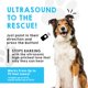thumbnail image 3 of Entrenador Canino Bark Begone Clásico Disuasor Ultrasónico, 3 of 9