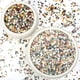 thumbnail image 1 of Grava LOOIOOJ 4,5 kg de colores mixtos – Guijarros de 1/5 pulgada, 1 of 7
