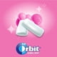thumbnail image 3 of Chicle sin Azúcar Sabor Fruta y Menta 46 un, 1 Un, 3 of 6
