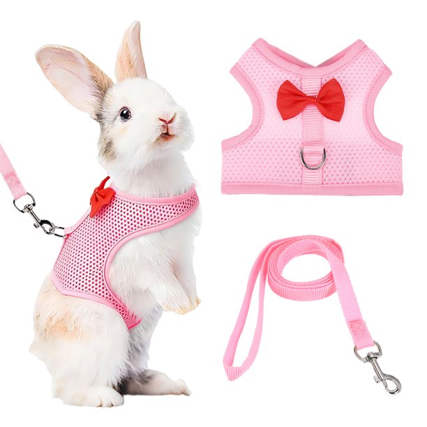 Arnés y Correa para Conejo Uxcell, Arnés de Chaleco Lindo para Mascotas Pequeñas, Correa Ajustable Suave de Hebilla de Malla Transpirable (M, Rosa) para Conejito Gatito Cerdito Cachorros