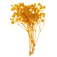 thumbnail image 3 of Hojas prensadas Flores secas naturales Tarjetas Scrapbooking haciendo amarillo, 3 of 5