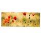 thumbnail image 1 of HD Pintura Abstracta Moderna Muebles Cuadro Decorativo Flor Roja, 1 of 3