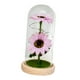 thumbnail image 1 of Regalos De Girasol En Cúpula De Vidrio Con Lámpara De Girasol Ligera Para El Día De Acción De Gracias Estilo C, 1 of 5