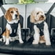 thumbnail image 5 of Arnés para perro Thule Cappy S con paso para cinturón de seguridad, 5 of 9