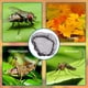 thumbnail image 3 of suxuMhao Paquete de 4 Cubetas de Malla Negras, Cubierta de Malla para Barril de Lluvia de 35.43" de Diámetro, Pantalla para Barril de Lluvia Cubierta de Red a Prueba de Insectos, Cubierta de Red, 3 of 4