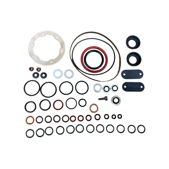Kit de Juntas y Sellos para Bomba Diesel Stanadyne Roosa 24371