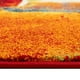 thumbnail image 3 of Alfombra Inusual 80x150 Cm Polipropileno, 3 of 3