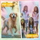 thumbnail image 4 of Polvo de colores YANENAN – 10 colores vibrantes y lavables, 4 of 7