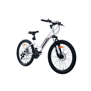 Bicicleta Totem Mtb Aro 24 Modelo Sitara Blanco