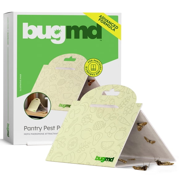 Trampas para polillas BugMD Pantry Pest Patrol (paquete de 6)