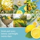 thumbnail image 3 of Aceite esencial, 3 of 3
