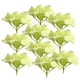 thumbnail image 1 of 10pcs Cabezas De Flores De Hortensia De Seda Para La Decoración De La Boda Nupcial Verde Fluorescente, 1 of 3