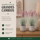thumbnail image 3 of Set 2 Plantas Artificiales Flores Lavanda Decoracion Hogar terracota, 3 of 8
