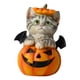 thumbnail image 3 of Estatua De Gato Con Forma De Calabaza De Halloween Para Estantería, Centro De Mesa De Sala De Estar, 3 of 5