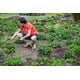 thumbnail image 3 of Manguera de jardín Rosy Earth de acero inoxidable 304, 30 m, sin torceduras, 3 of 8