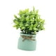 thumbnail image 2 of Pequeñas Plantas Falsas Decorativas Bonsái Artificiales Para Oficina Baño Granja Verde, 2 of 5