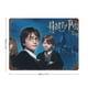 thumbnail image 2 of Cartel Metálico Harry Potter Desmarcar 20x30 cm, 2 of 6