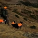 thumbnail image 3 of Chaleco reflectante para mascotas, chaqueta reflectante para perros, exterior, estampado reflectante, impermeable, 3 of 5