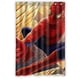 thumbnail image 1 of Cortina de ducha de Spiderman para hotel, juego de cortinas de baño con ganchos, tamaño 48 x 72 pulgadas, 1 of 3
