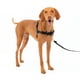 thumbnail image 1 of Arnés para perros PetSafe Easy Walk Stop, tamaño mediano, 1 of 6