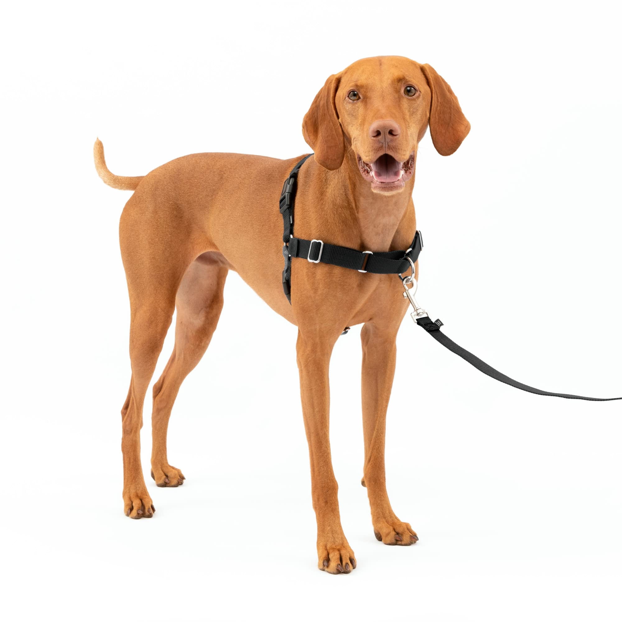 Arnés Para Perros Petsafe Easy Walk Stop, Tamaño Mediano