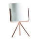 thumbnail image 4 of Soporte de planta de metal de estilo nórdico con maceta con maceta m-rosa pote de 7.5 cm de oro, 4 of 5