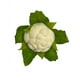 thumbnail image 1 of Coliflor 18cm Artificial Con Detalles Realistas, 1 of 2