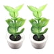 thumbnail image 4 of 2 Piezas 1:12 Escala Casa De Mu?ecas Miniaturas Planta Verde árbol Plantas Modelo Decoración, 4 of 5