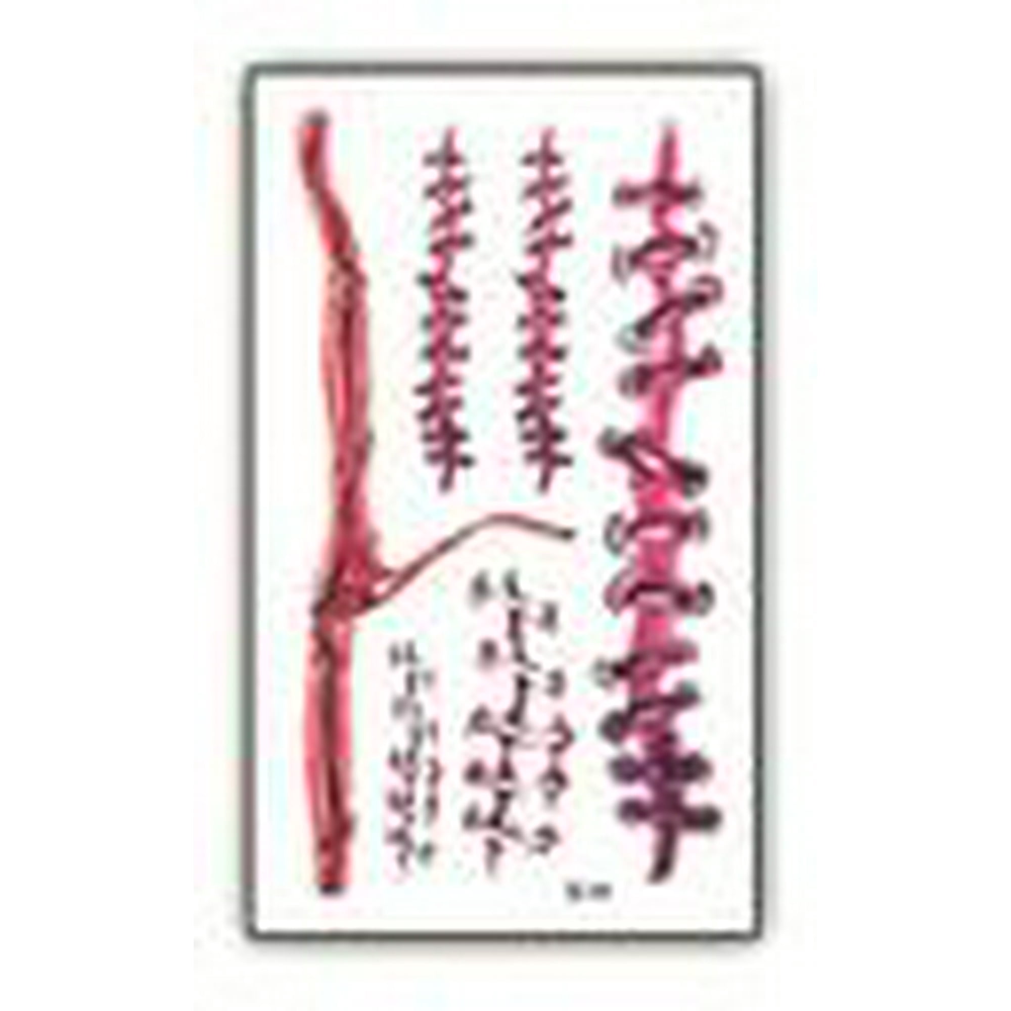 Nonstop - Tatuaje Temporal Halloween Cosplay Disfraz - Herida - 3b