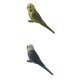 thumbnail image 3 of 2 piezas miniatura animales aves modelo estatuilla estatua Scupltue juguete loro, 3 of 5