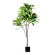 thumbnail image 1 of Planta Artificial Arbol De Hoja 180 Cm, 1 of 1