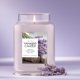 thumbnail image 4 of Vela perfumada Yankee Candle, lavanda seca y roble, 650 ml, 4 of 7