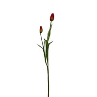 Corel - Tulipan Roja 50Cm Realista