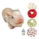 thumbnail image 5 of Juguete De Cerdo Renacido En Miniatura Divertido Para La Decoración Del Hogar Accesorios Para Fotos Regalo De Cumpleaños Estilo A, 5 of 5