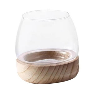 Genérico - Macetero De Vidrio, Contenedor De Estante De Madera, Macetero Hidropónico Para Decoración De Escritorio De Oficina Pequeño