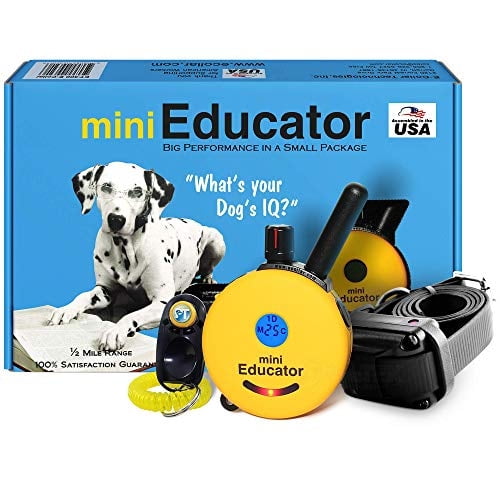 Kit de entrenamiento Educator Mini Trainer, impermeable, 100 niveles