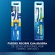 thumbnail image 5 of Cepillo de Dientes 123, 1 Un, 5 of 5