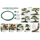 thumbnail image 2 of Alambre forrado Bonsai 2mmx2mts, 2 of 2