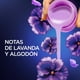 thumbnail image 4 of Suavizante Concentrado Líquido Lirios de Campo Botella, 1 L, 4 of 5