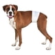 thumbnail image 4 of Pañales Desechables Para Mascota Perros Machos Talla S, M, L blanco M: Circunferencia máxima de cintura 55cm, 4 of 10