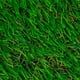 thumbnail image 1 of Pasto Sintético Prado G25 Mm 750 Grs - Rollo 7 X 4 Mt, 1 of 2