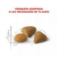 thumbnail image 3 of Royal Canin Alimento para Gato Exigent 1.5 Kg, 3 of 4