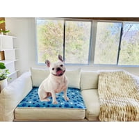 Genérico - Set 2 Alfombra Enfriamiento Refrescante Colchon Perros Lau